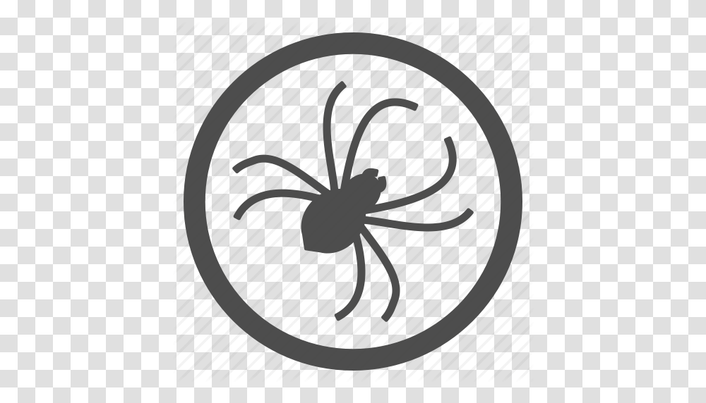 Bug Infection Insect Parasite Pest Spider Web Icon, Animal, Invertebrate, Clock Tower, Architecture Transparent Png