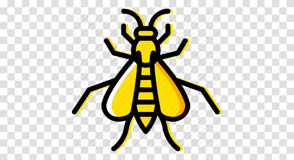 Bug Insect Nature Wasp Icon, Bee, Invertebrate, Animal, Hornet Transparent Png