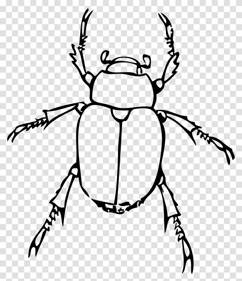 Bug Line Drawing Line Drawings Printables Art, Insect, Invertebrate, Animal, Dung Beetle Transparent Png