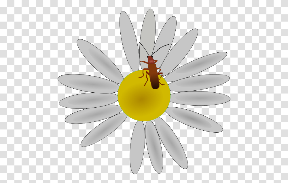 Bug On A Flower Clip Arts Clipart Bug On A Flower, Plant, Daisy, Daisies, Blossom Transparent Png