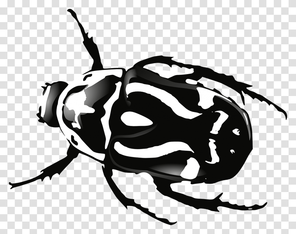 Bug, Plant, Wasp, Bee, Insect Transparent Png