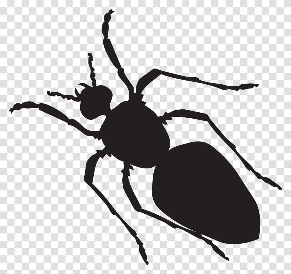 Bug Silhouette Clip Art, Ant, Insect, Invertebrate, Animal Transparent Png