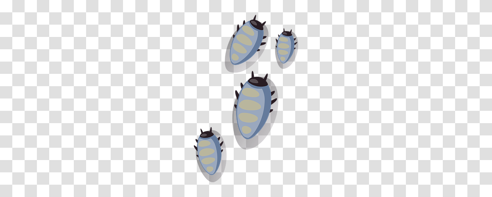 Bugs Nature, Plant, Food, Seed Transparent Png