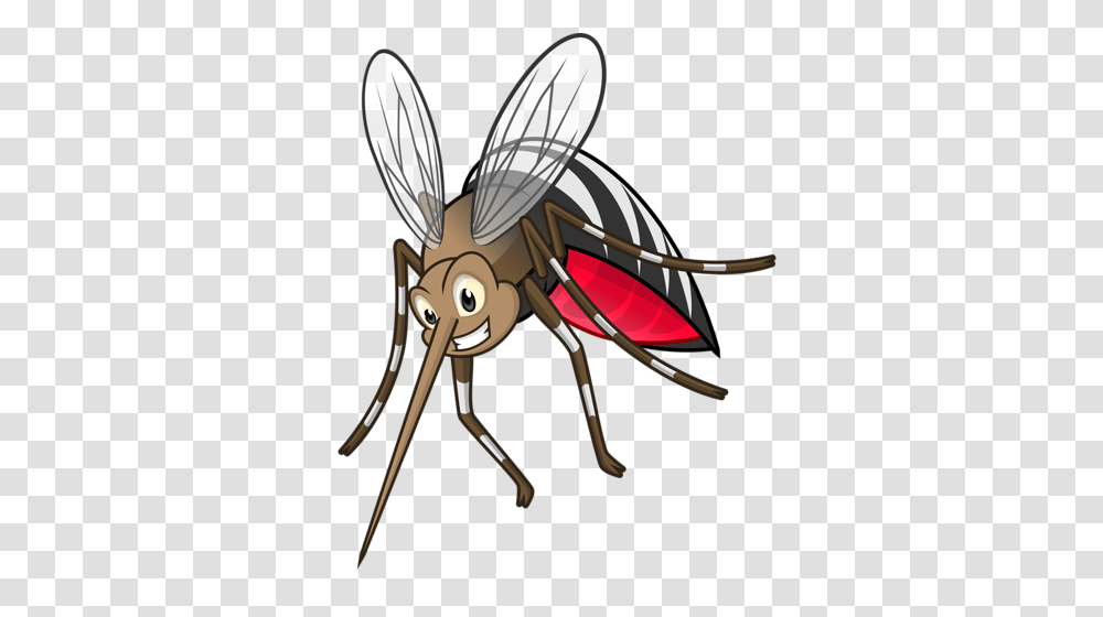 Bugs And Insects, Mosquito, Invertebrate, Animal Transparent Png