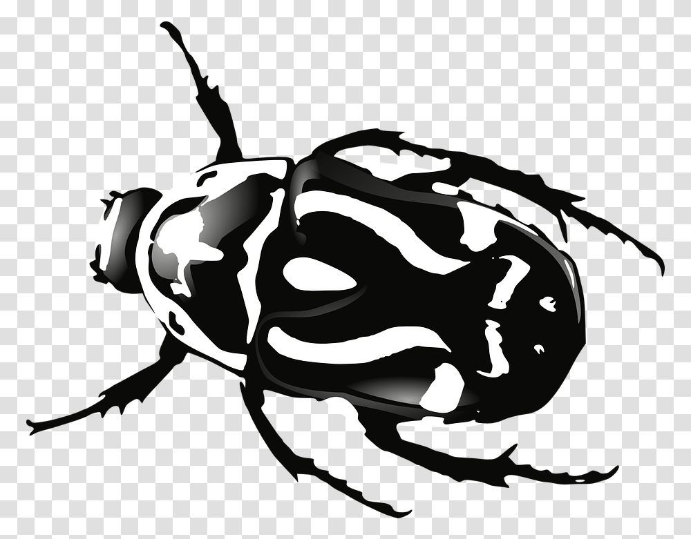 Bugs Black And White Beetle Black And White, Hand, Stencil, Plant, Food Transparent Png