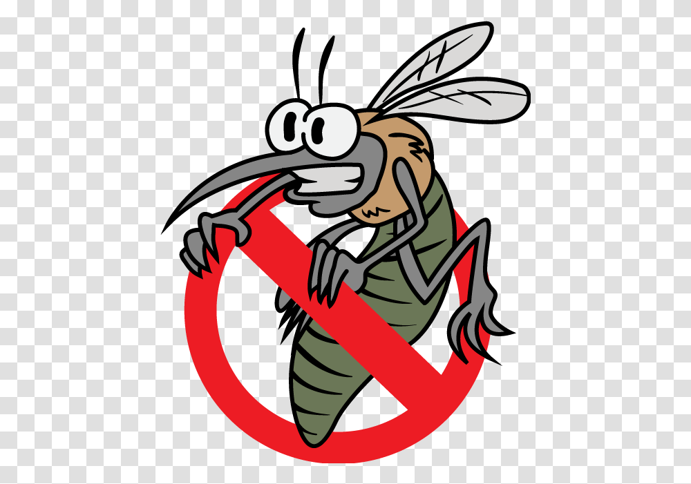 Bugs Disease, Wasp, Bee, Insect, Invertebrate Transparent Png