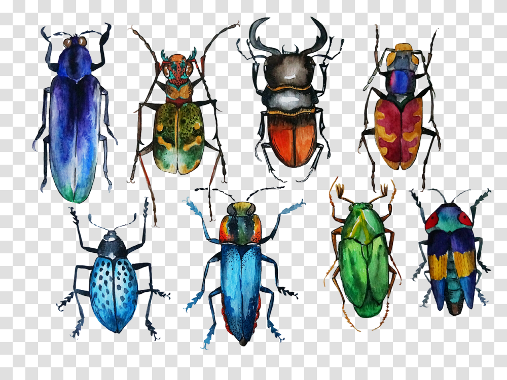 Bugs Drawing Watercolor Watercolor Bugs, Insect, Invertebrate, Animal, Dung Beetle Transparent Png