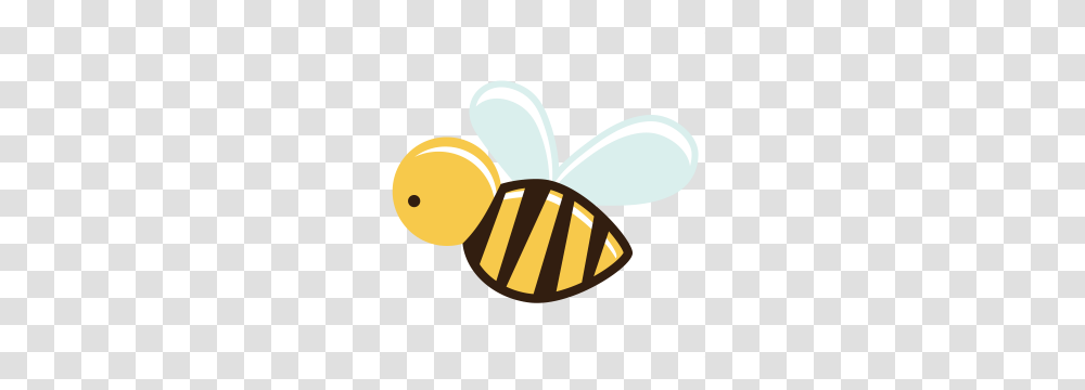 Bugs, Invertebrate, Animal, Insect, Bee Transparent Png