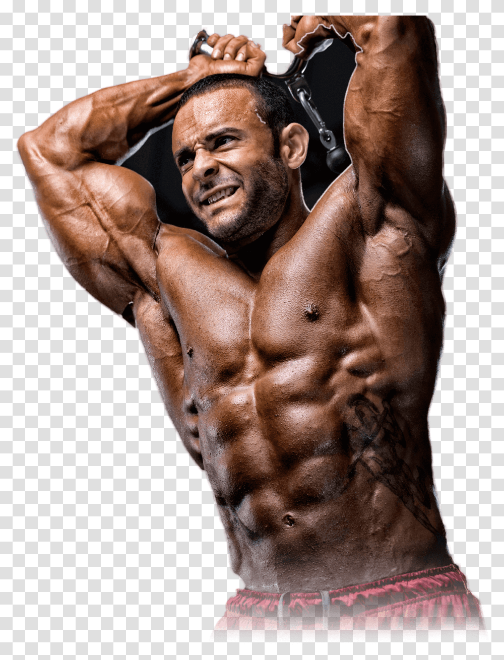 Build Muscle Body Builder Work Our, Arm, Person, Human, Torso Transparent Png