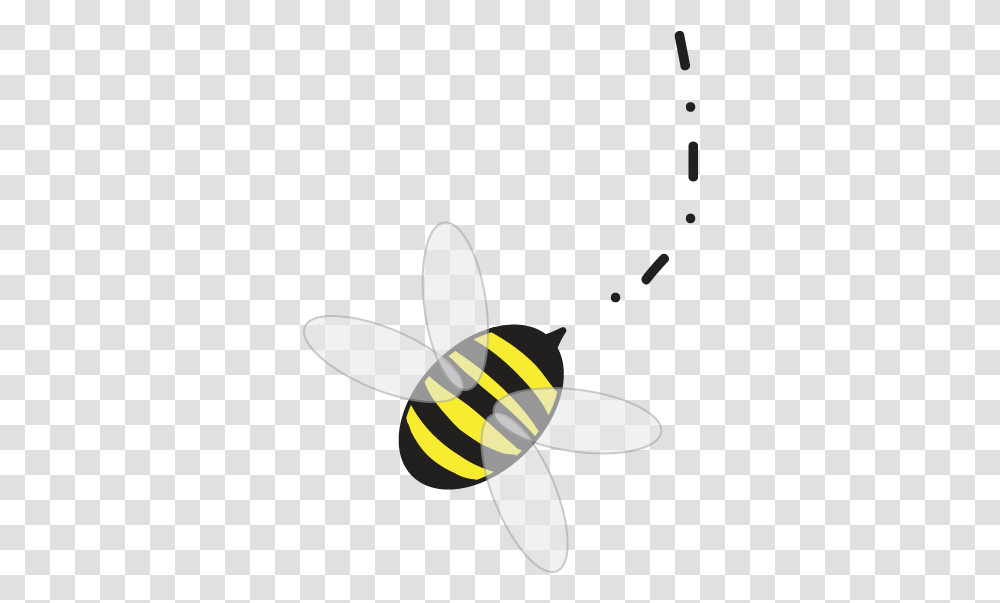 Builder Bees Honey Bees, Insect, Invertebrate, Animal, Wasp Transparent Png