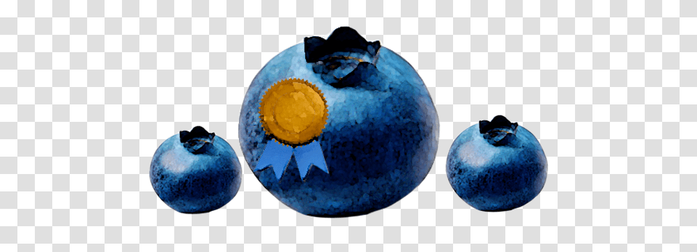 Building A Better Blueberry Msutoday Michigan State University, Fruit, Plant, Food Transparent Png