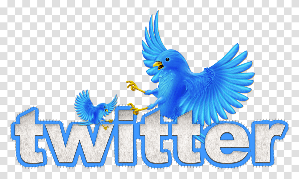Building Your Animated Twitter Bird, Animal, Word, Text, Symbol Transparent Png