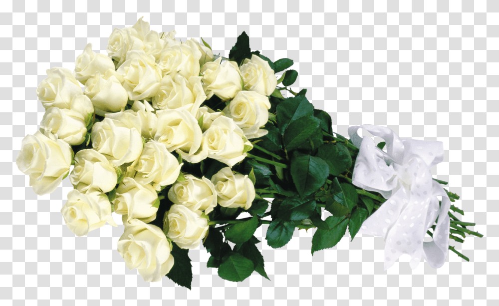 Buket Belih Roz Bunch Of White Roses, Plant, Flower, Blossom, Flower Bouquet Transparent Png