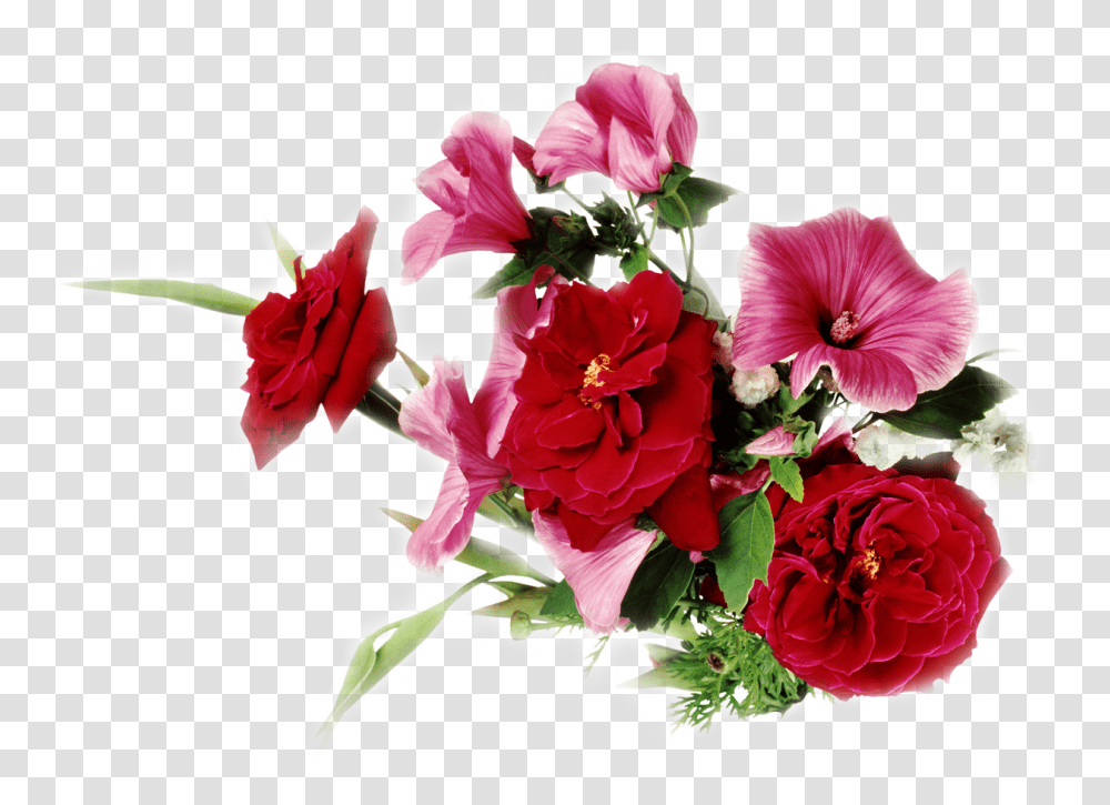 Buket Cvetov Klipart Flower Wallpaper For Laptop Hd, Plant, Blossom, Floral Design Transparent Png