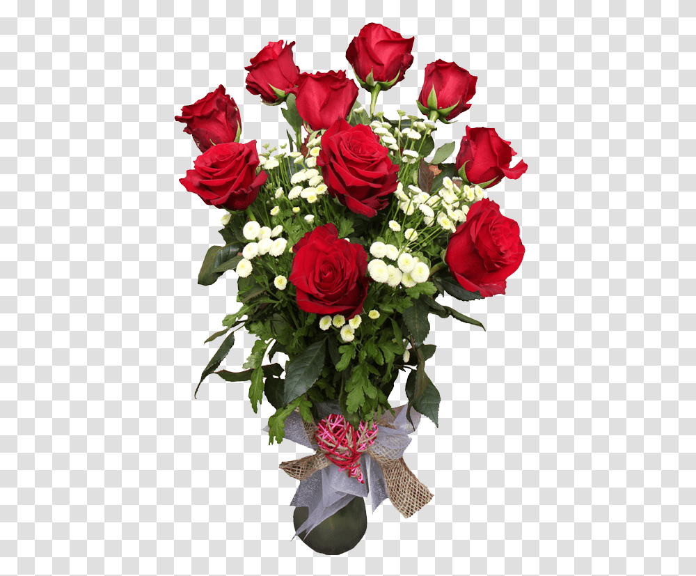 Buket Iz Krasno Belih Roz, Plant, Rose, Flower, Blossom Transparent Png
