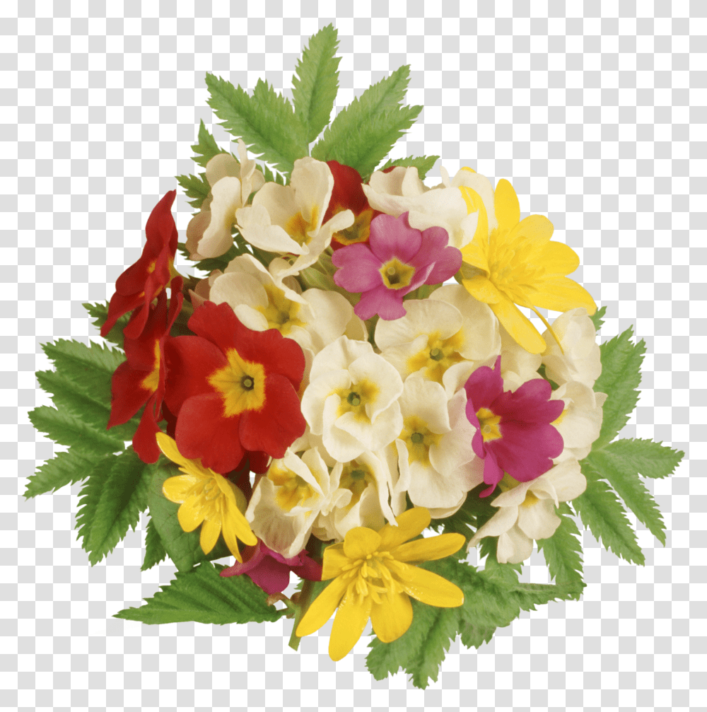 Buketi, Plant, Flower, Blossom, Flower Bouquet Transparent Png