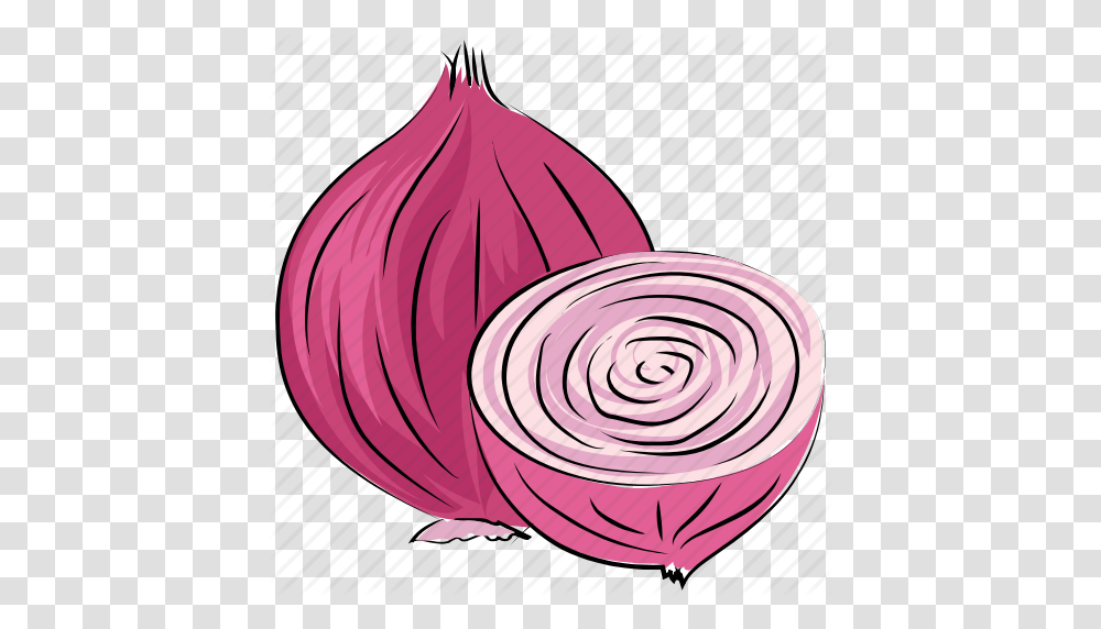 Bulb Onion Common Onion Diet Food Onion Vegetable Icon, Plant, Lamp, Shallot Transparent Png