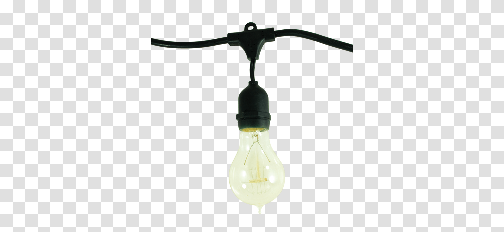 Bulbrite, Light, Lamp, Lightbulb, Lighting Transparent Png