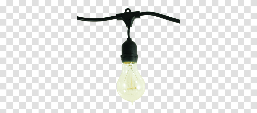 Bulbrite Lighting Creates Beautiful Living Incandescent Light Bulb, Lamp, Lightbulb Transparent Png