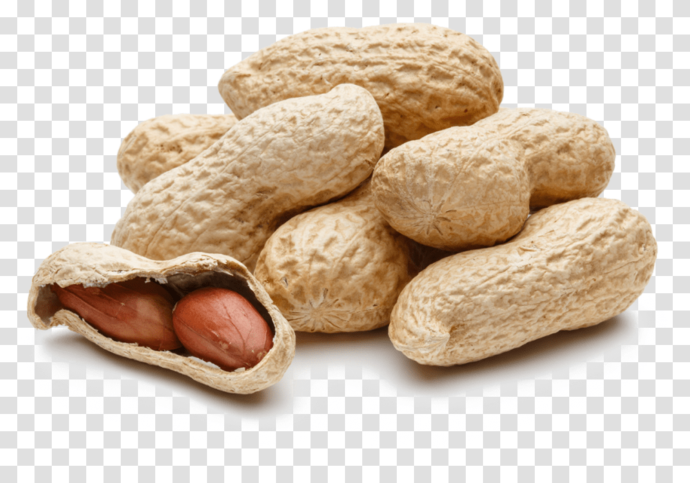 Bulk Peanuts, Plant, Bread, Food, Vegetable Transparent Png
