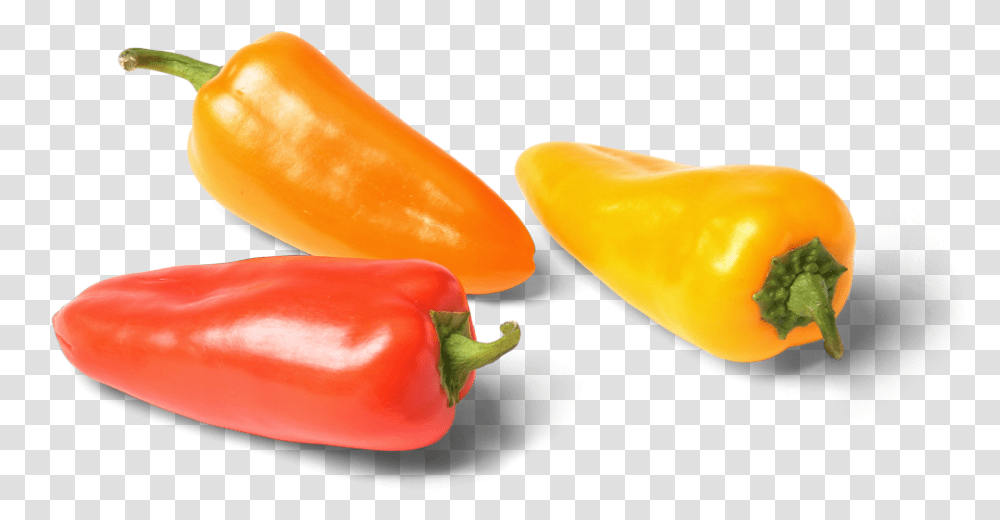Bulk Pure Flavor Aurora Bites Red Yellow And Orange Sweet Bite Peppers, Plant, Vegetable, Food, Bell Pepper Transparent Png