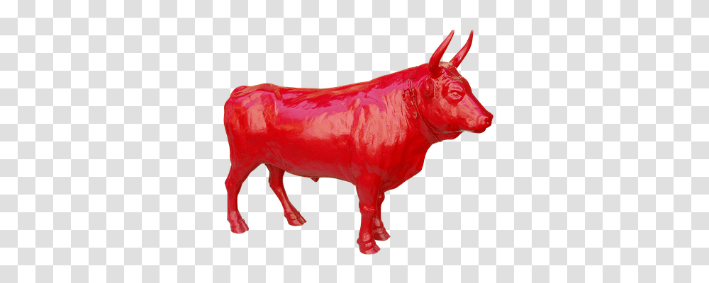 Bull Animals, Mammal, Cow, Cattle Transparent Png