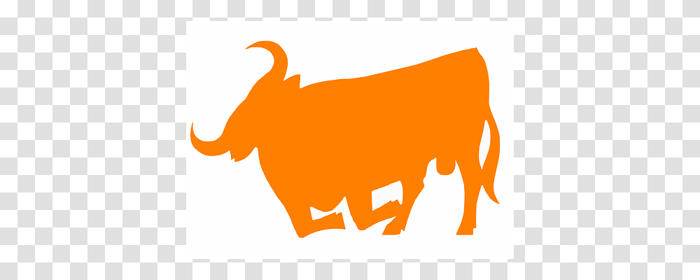 Bull Mammal, Animal, Wildlife, Buffalo Transparent Png