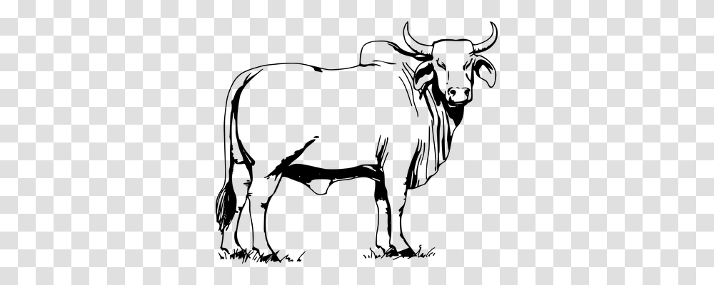 Bull Nature, Gray, World Of Warcraft Transparent Png