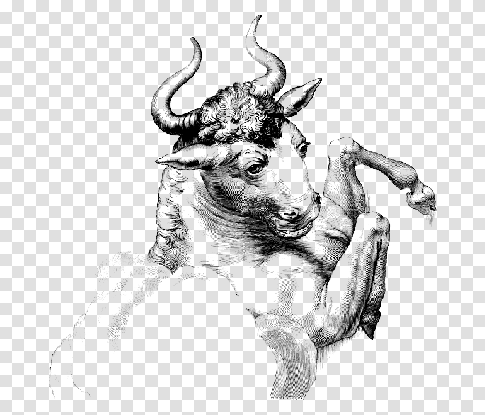 Bull Buffalo Horn Animal Mammal Large Celtic Mythology Gallic Mythology Giants Names, Longhorn, Cattle, Person Transparent Png
