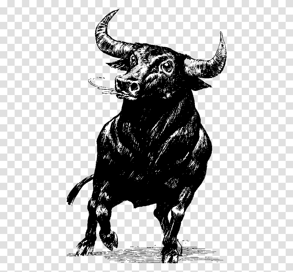 Bull Bull, Mammal, Animal, Silhouette, Wildlife Transparent Png