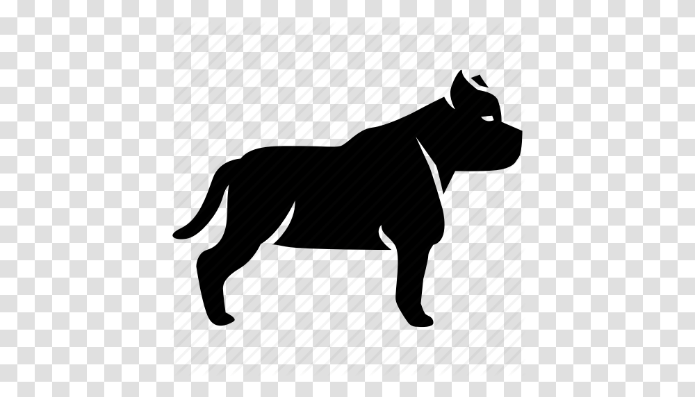 Bull Bulldog Dog Fighting Pit Pitbull Terrier Icon, Piano, Mammal, Animal, Pet Transparent Png