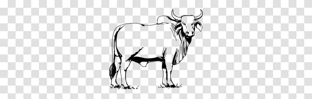 Bull Clip Art, Gray, World Of Warcraft Transparent Png