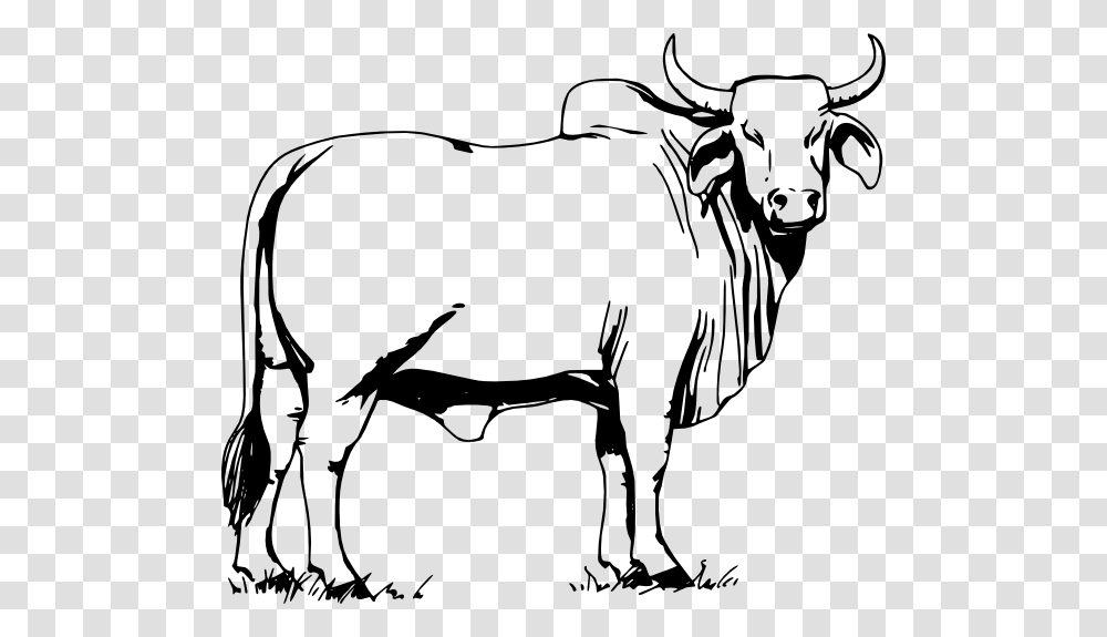 Bull Clip Art, Mammal, Animal, Bow, Cattle Transparent Png