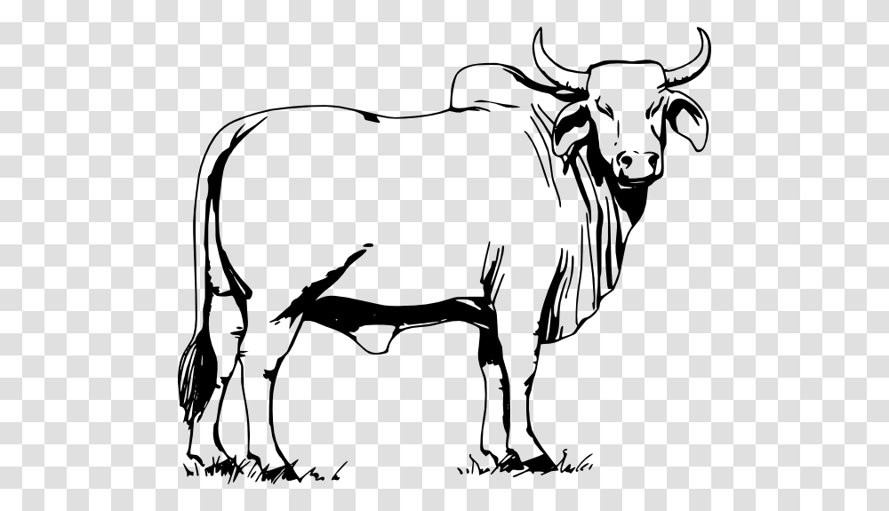Bull Clipart Carabao, Mammal, Animal, Bow, Cattle Transparent Png