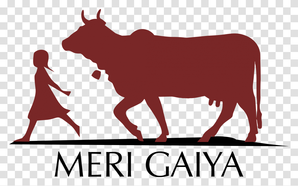 Bull Clipart Gir Cow Desi Cow Clipart, Mammal, Animal, Cattle, Person Transparent Png