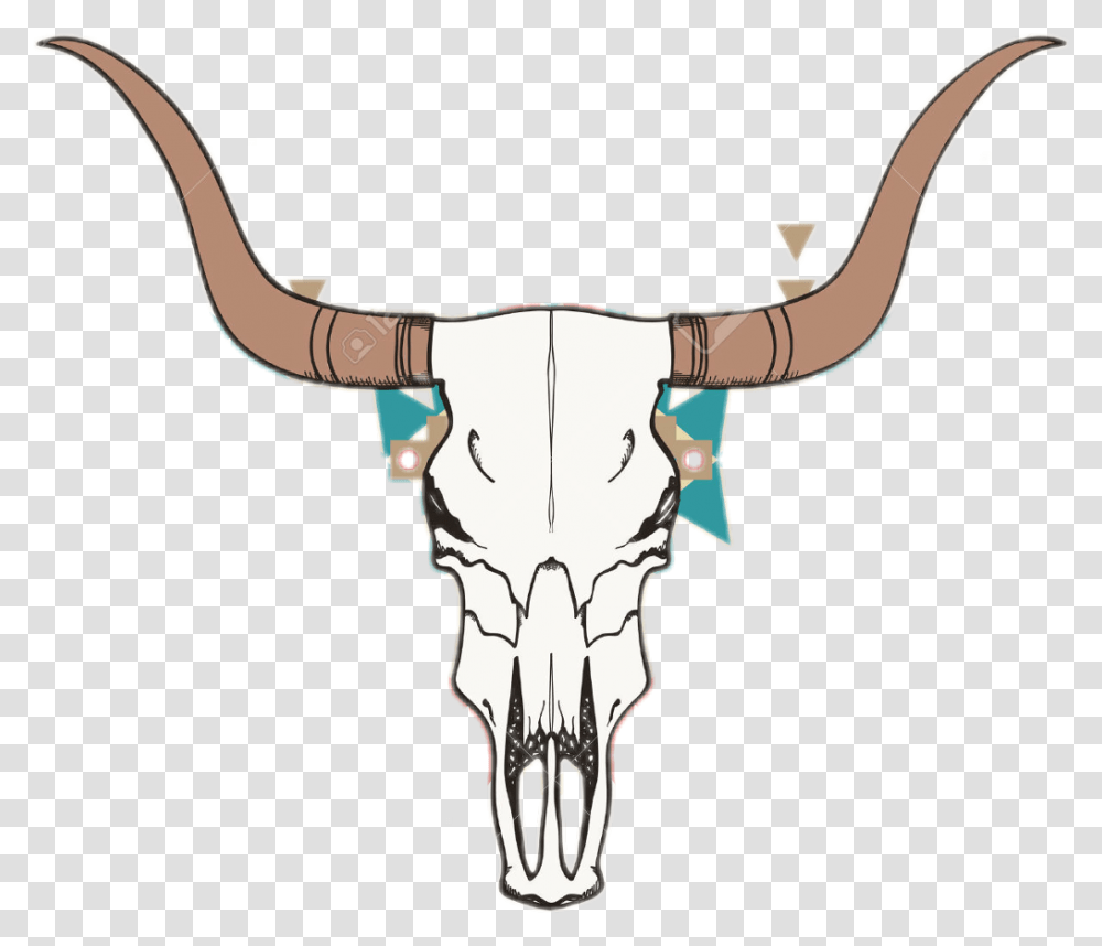 Bull Clipart Tattoo Calavera De Vaca, Longhorn, Cattle, Mammal, Animal Transparent Png
