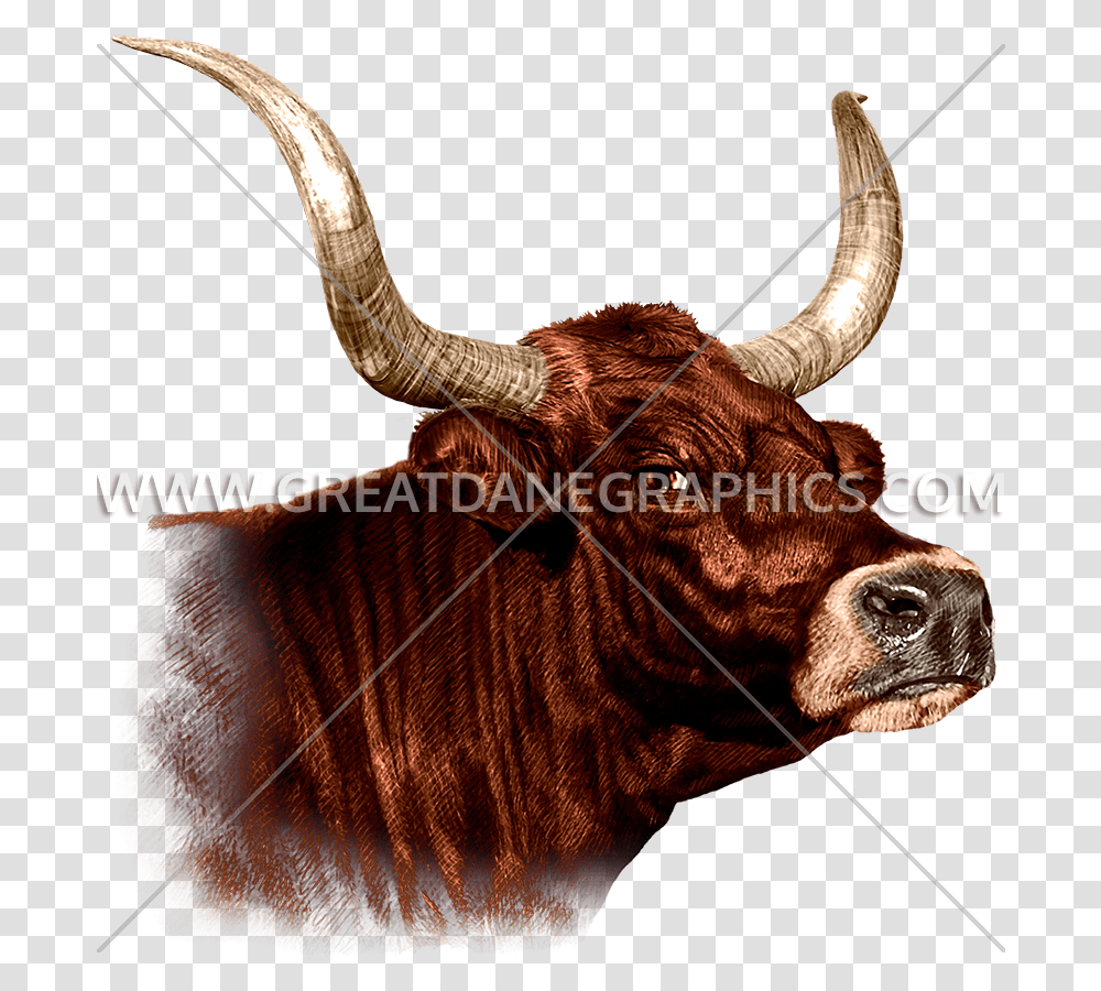 Bull Download Clip Art, Longhorn, Cattle, Mammal, Animal Transparent Png