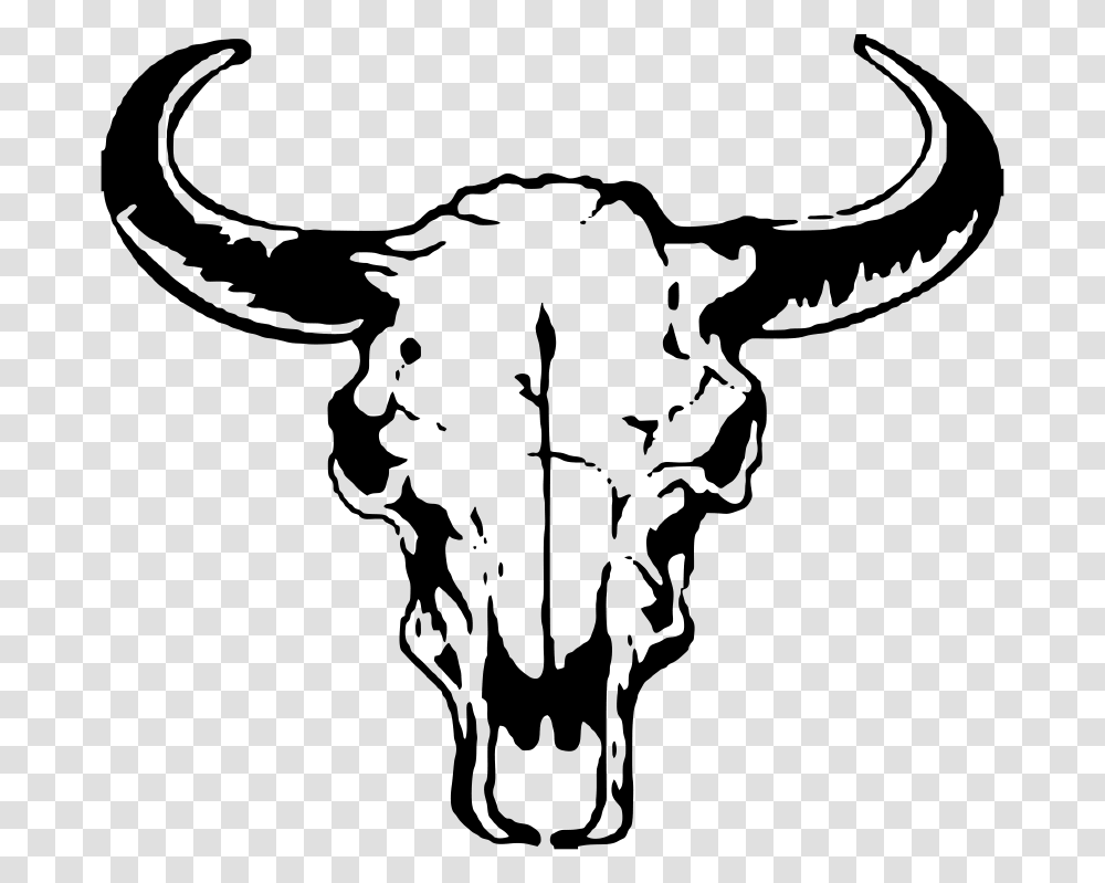Bull Head, Mammal, Animal, Cattle, Antelope Transparent Png