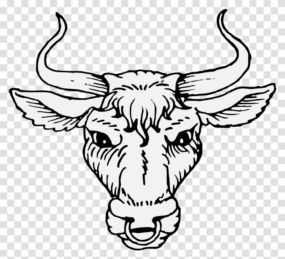 Bull Horns Bull Head Cabossed, Animal, Mammal, Cattle, Longhorn Transparent Png