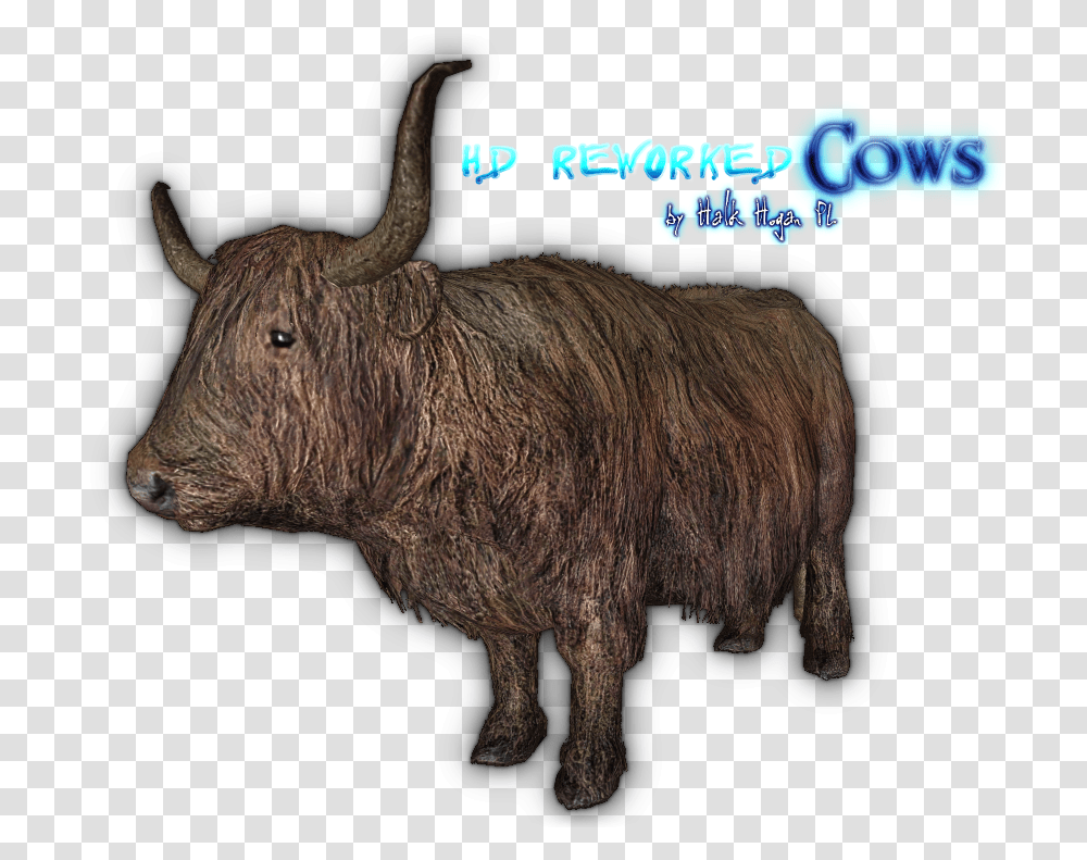 Bull, Mammal, Animal, Longhorn, Cattle Transparent Png