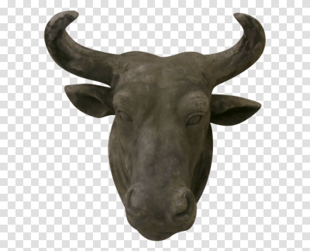 Bull, Mammal, Animal, Ox, Cattle Transparent Png