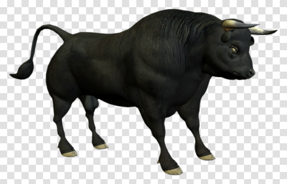 Bull Photo Bull, Mammal, Animal, Cow, Cattle Transparent Png