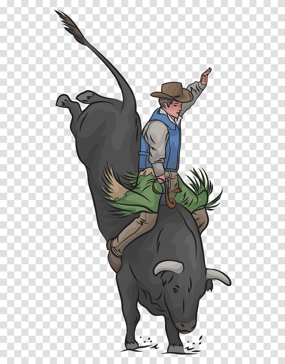 Bull Riding, Plant, Person, Mammal, Animal Transparent Png