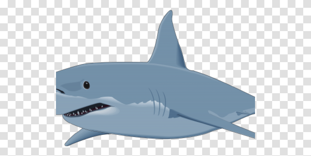 Bull Shark Clipart Background Shark Clipart, Sea Life, Fish, Animal, Great White Shark Transparent Png