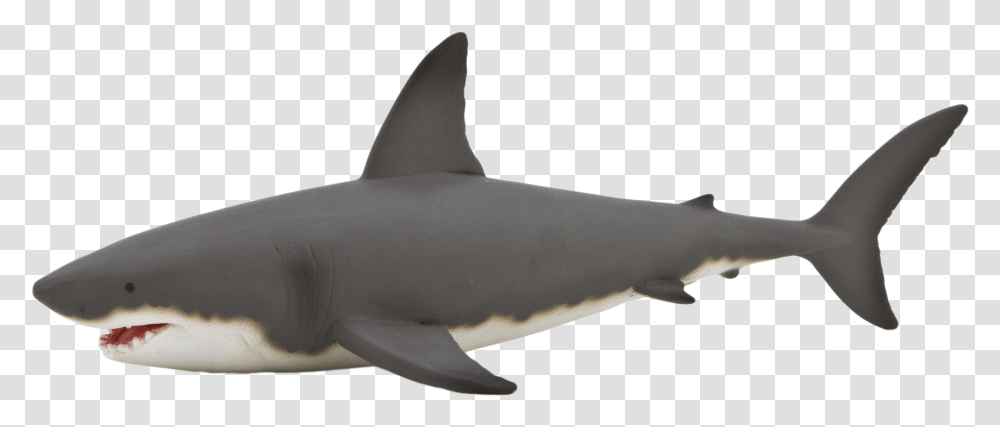 Bull Shark Clipart Background Shark, Sea Life, Fish, Animal, Great White Shark Transparent Png