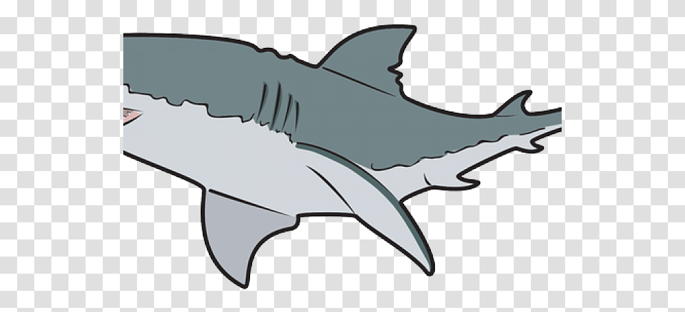 Bull Shark Clipart Outline Great White Shark Clipart, Sea Life, Fish, Animal Transparent Png