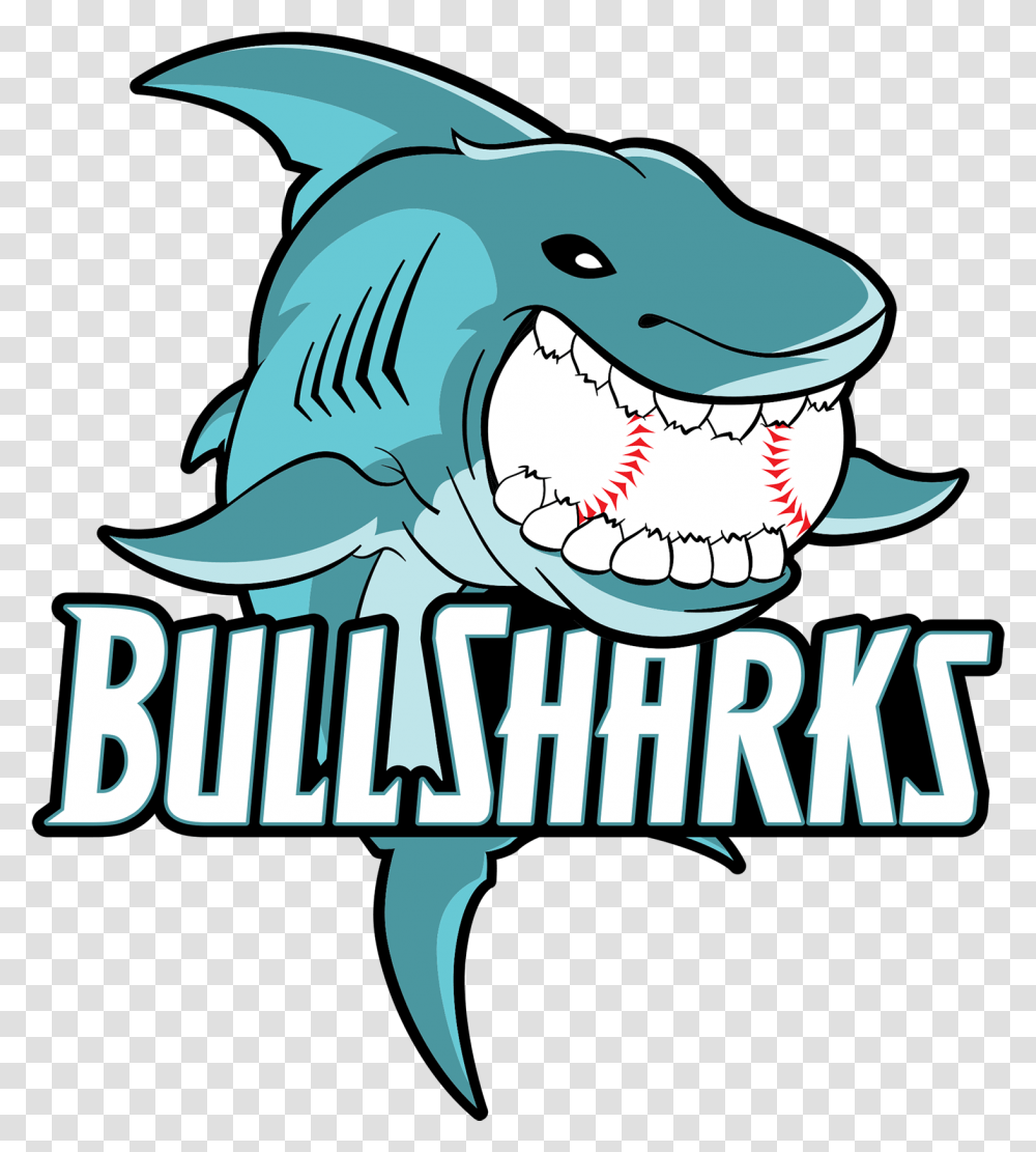 Bull Sharks Clipart Download Cartoon Bull Shark, Sea Life, Fish, Animal, Cup Transparent Png
