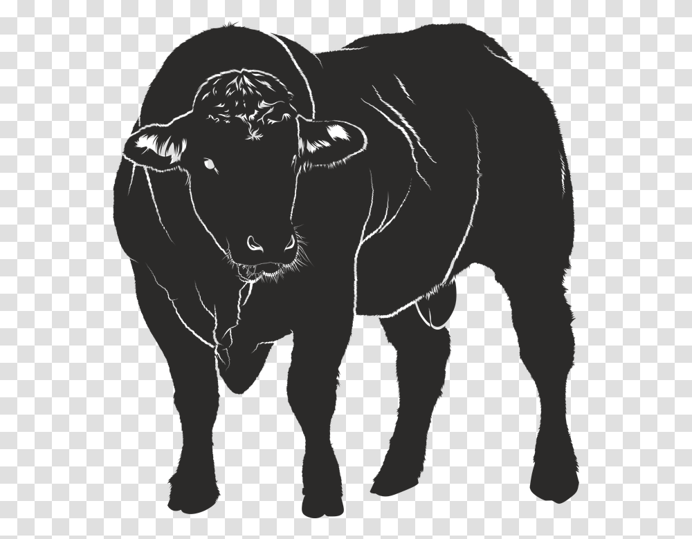 Bull Silhouette Black Isolated Form Animal Shadow Warnschild Bulle, Mammal, Horse, Wildlife, Elephant Transparent Png