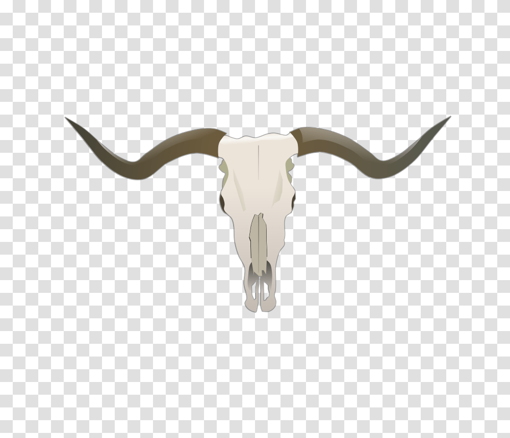 Bull Skull Clip Art, Longhorn, Cattle, Mammal, Animal Transparent Png