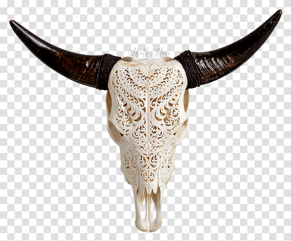 Bull Skull Cow Skull Background, Animal, Mammal, Home Decor, Longhorn Transparent Png